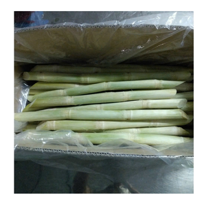 Rebanadas de caña de azúcar congeladas Peladas y limpiadas Caña de azúcar congelada empacada para cadenas de batidos y barras de jugo - Product Image 5