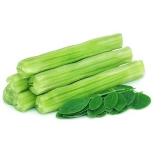 Baquetas de buena calidad al mejor precio, baquetas largas frescas al por mayor a la venta, baquetas de verduras congeladas - Product Image 2
