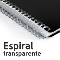 Carpeta de presentación A4 de material PP con logotipo personalizado con 30 mangas espirales flexibles bolsa de archivo fluorescente en 5 colores