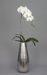 Florero de Metal Elegante y Moderno 2026, Macetas y Floreros de Metal a Precios Económicos para Decoración del Hogar, Hoteles y Bodas - Product Image 2