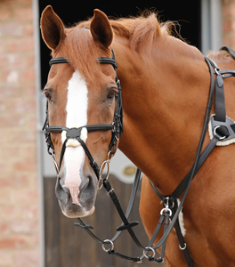 Rênes de course professionnelles pour chevaux 2026, rênes latérales antidérapantes, accessoires, fabricant, fournisseur, rênes d'équitation en gros - Product Image 2