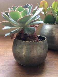 Maceta de metal de calidad superior Pulida a mano Uso Jardín Acento Cama Macetas con tamaño y forma disponibles al mejor precio - Product Image 3