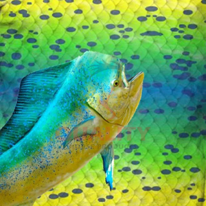 Camisa de pesca de corte delgado con diseño elegante Tela de secado rápido Protección solar y ajuste cómodo para mujeres con precio barato - Product Image 6