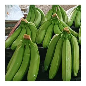 Alimente con plátanos frescos: dulce, lleno de energía y perfecto para los bocadillos diarios, dulce, cremoso y perfecto para los bocadillos diarios - Product Image 4