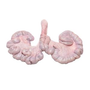 Utérus de porc congelé de qualité supérieure, 1 kg-2 kg/paquet, fumé, fait à la main, prix abordable, viande de haute qualité - Product Image 1