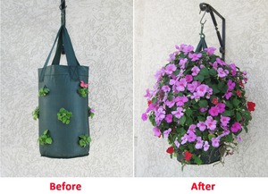Macetero de plástico de la mejor calidad para flores, bolsa colgante para cultivo, 12 bolsas de maceta, asas fuertes duraderas, macetas para plantas, gran oferta - Product Image 2