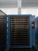Four à vide à chambre unique pour électrodes de cellules lithium-ion