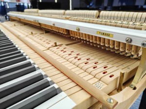 Piano à queue Yamaha G1B 88 touches en bois massif, design classique pour scène et studio, haute performance avec un son acoustique riche - Product Image 5