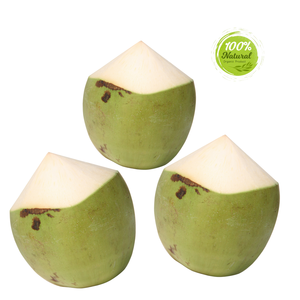 เครื่องดื่มมะพร้าวเวียดนามที่สดชื่นจากหัวใจของธรรมชาติที่มีกะลามะพร้าว - Product Image 1