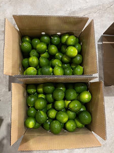 Las mejores ofertas directas del fabricante, Vietnam frescas de venta al por mayor de limas, cítricos de alta calidad - Product Image 3