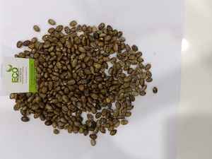 Graines de ricin à vendre en provenance d'Inde - Product Image 2