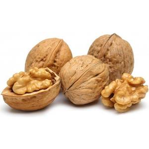 High Quality <b>Shelled</b> Walnuts Bulk Supply <b>Light</b> Halves and Pieces Competitive Price - Product Image 3
