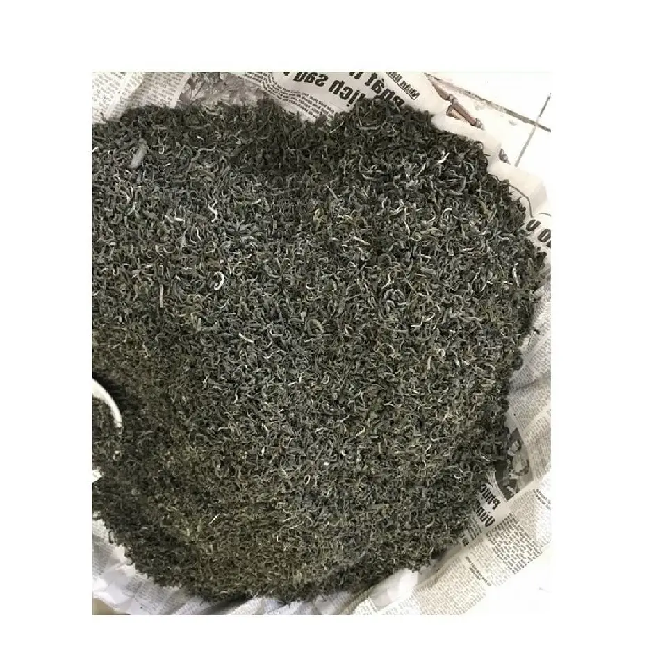 Green Bee Vietnam Wholesale Good Quality OEM Service Bulk Packaging Fresh Tea Leaves Healthy Pure Organic Black Tea for Sale