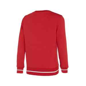 Pulls molletonnés pour hommes en gros, tissu polaire chaud et décontracté, conçu pour les tenues d'équipe, les uniformes d'entreprise et de sport - Product Image 5