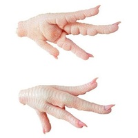 Pattes de Poulet Halal en Gros / Pattes de Poulet Congelées Brésil / Ailes et Pattes de Poulet Fraîches