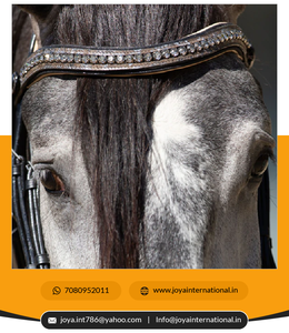 Brida Barroca de Edición Limitada, Precio de Fábrica al por Mayor, Productos Ecuestres, Fabricante de Bridas, Plegable - Product Image 4