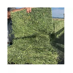 American Alfalfa Lucerne Hay for Animal Feed Cattle Horse Cow Chicken Pet