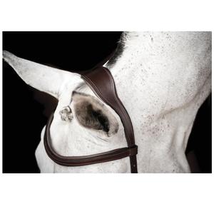 La mejor calidad Irlanda Micklem Competition Bridle Material de cuero de búfalo curtido ecológico a un precio asequible - Product Image 3