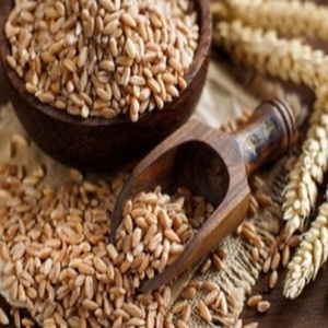 Grains de blé 100% purs, graines de blé commun pour la transformation alimentaire et l'alimentation animale, à vendre - Product Image 2