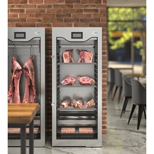 NUEVO Refrigerador Comercial KMAGER17 para Maduración en Seco - Refrigerador para Maduración de Carne con Control de Humedad - Product Image 2