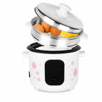 Autocuiseur Électrique Multifonction 2L 3L 4L 5L 6L avec Fonction Maintien au Chaud, Arrêt Automatique et Revêtement Antiadhésif, Cuiseur Vapeur pour la Maison