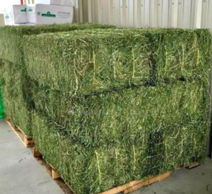 Descuento de venta superior Alfalfa Hay Bulk 25kg 100% Alimento animal de calidad pura para ganado y caballos Humedad 10% Proteína 15-16% - Product Image 5