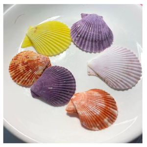Surtido de conchas marinas coloridas decorativas de 2-3cm para relleno de Acuario, diseño de velas y artesanía de resina - Product Image 6