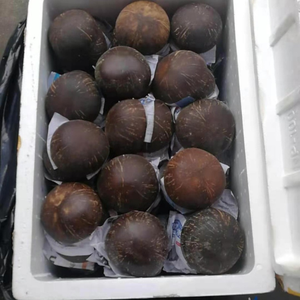 ชุดชามและช้อนไม้ไผ่น้ำหนักเบา สไตล์อเมริกัน รับทำโลโก้ สำหรับรับประทานอาหารนอกบ้าน ปิกนิก เดินทาง ออกแบบโดยเวียดนาม ขายส่ง - Product Image 3