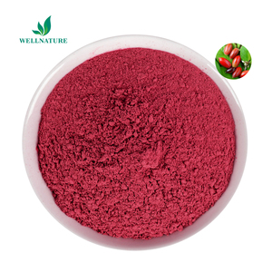 Extrait de <span class=keywords><strong>fruit</strong></span> de miracle biologique naturel en poudre, poudre d'extrait de <span class=keywords><strong>fruit</strong></span> de miracle mystérieux - Product Image 2