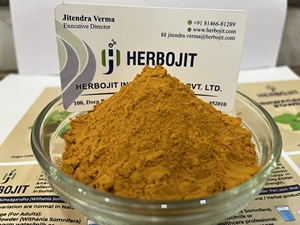 Poudre d'extrait de cannelle brute finement moulue 100% pure naturelle de qualité A+ pour les compléments alimentaires produits de bien-être fabricant indien - Product Image 4