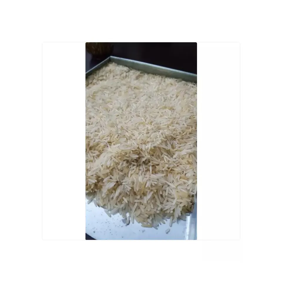 Bester Langkorn-Mahmood-Reis für Pulao und Biryani zu Großhandelspreisen Premiumqualität bio-Langkorn-Reis