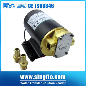 Singflo 12L /min 12v dc חשמלי ציוד משאבת שמן/מנוע שמן משאבות ספק - Product Image 6