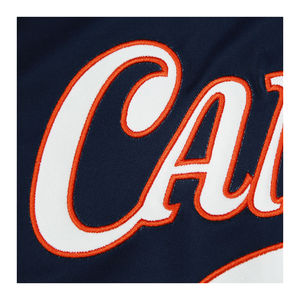 Camisetas de Béisbol Personalizadas, Tejido Transpirable de Primera Calidad, Anti-UV, Secado Rápido, con Logotipos y Colores Personalizados para Equipos, Ligas y Marcas - Product Image 5