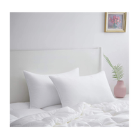 Oreiller en plume de canard, Super doux, de haute qualité, vente directe, prix de gros, disponible en différents degrés, 1 pièce