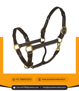 Vente en gros de licous de cheval en cuir personnalisés équestres en cuir torsadé licou accessoires de cheval intelligents - Product Image 3