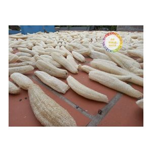 Esponja de lufa de fibra natural de Vietnam Producto de baño biodegradable ecológico para exfoliación de la piel y limpieza diaria - Product Image 6