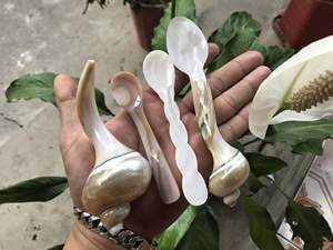 SET CUILLÈRE DINNERWARE Nacre de qualité supérieure-Artisanat naturel poli - Product Image 5