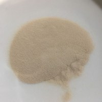 Acheter de la poudre d'agar croustillante de qualité à un bon prix Gélatine Agar poudre d'agar faire gelée de pouding 10g