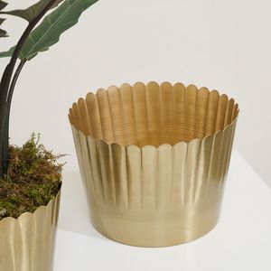 Jardinière décorative en métal finition or fusion luxueuse de ferronnerie fine et de design moderne, parfaite pour les intérieurs élégants - Product Image 4
