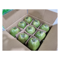 Coco fresco de alta calidad, dulce, natural, para muchos propósitos, embalaje en caja de cartón, hecho en el fabricante de Vietnam
