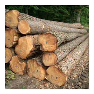 Troncos de Nogal de Grado Selecto y Superior con Diámetro de 14-18 Pulgadas para Aplicaciones de Carpintería, Pisos y Trabajos Decorativos de Madera para Exportación - Product Image 2