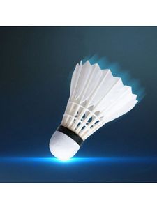 Volant professionnel Storm Bird de logo personnalisé de haute qualité pour une utilisation sportive - Product Image 2