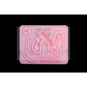 Kit de Práctica de Sutura Quirúrgica para Estudiantes de Medicina, Suturas Manuales de Acero de SurgiRight - Product Image 6