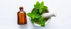 Huile de menthe poivrée pure de qualité AA en gros Afrique du Sud - Product Image 4