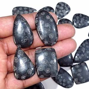 Lote al por Mayor de Piedras Preciosas de Coral Fósil Negro 100% Natural, Cabujones de Diferentes Formas y Tamaños para la Fabricación de Joyas - Product Image 5