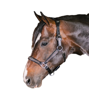 2025 recién llegado Halter de cuero equino cristal Bling ecuestre italiano para entrenamiento de caballos Halter utiliza precios bajos tachuela de caballo - Product Image 6