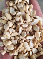 Noix de cajou brutes de qualité supérieure, fraîches et riches en nutriments, favorisées du marché alimentaire, cartons de 20 kg, Nam Tin Phat