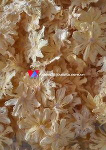 HIGH QUALITY PRESERVED <b>SWEET</b> SYRUP DRIED PINEAPPLE SLICES-BEST PRICE From VIETNAM <b>TINNED</b> // Shyn Tran - Product Image 4