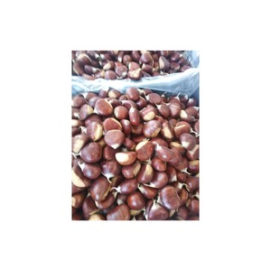 เมล็ดเกาลัดสดแบบออร์แกนิกปอกเปลือก - Product Image 4