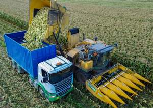 เครื่องเก็บเกี่ยวข้าวโพดประสิทธิภาพสูงสำหรับการเก็บเกี่ยวธัญพืชในฟาร์มขนาดใหญ่ - Product Image 4